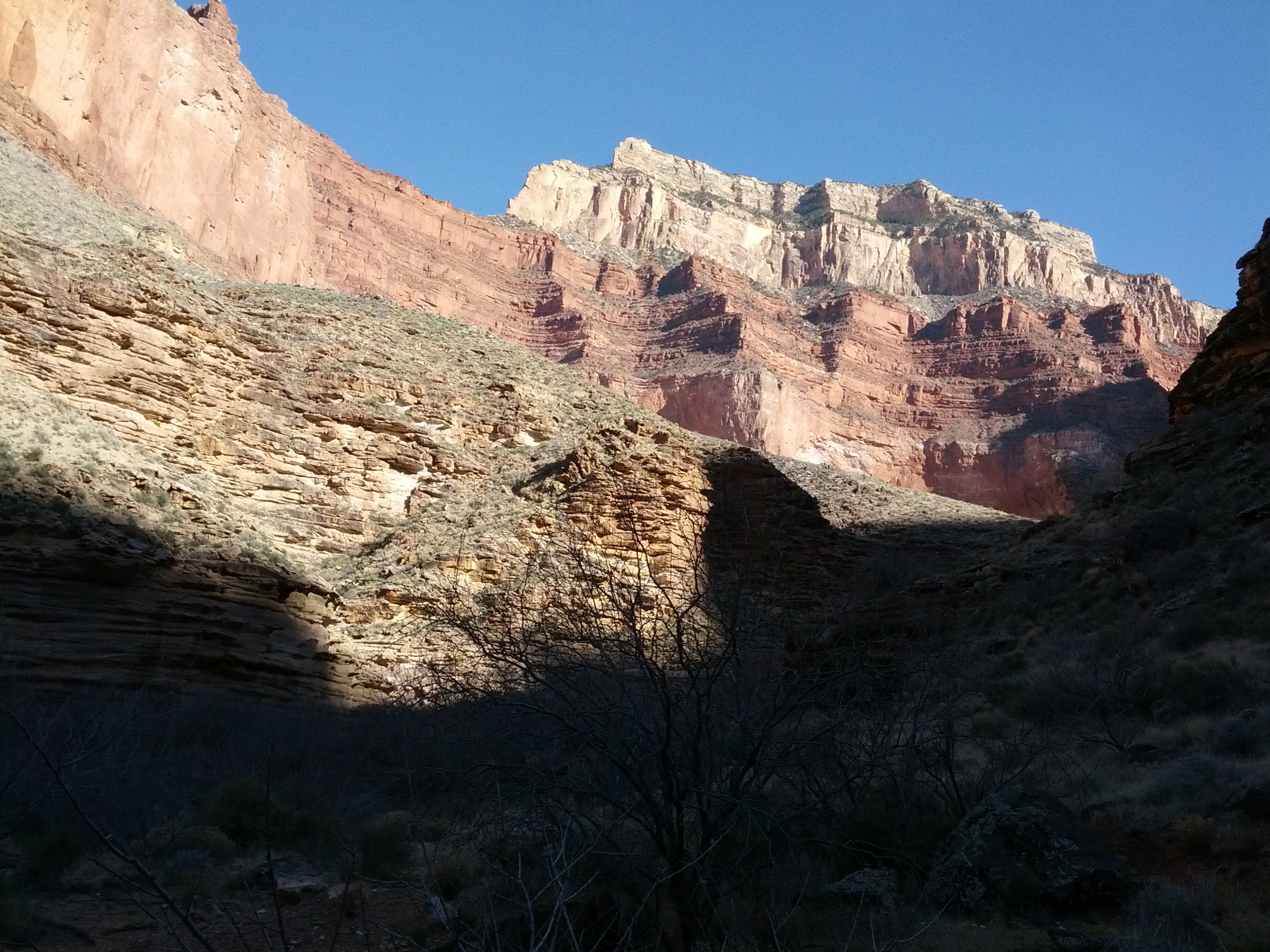 IMG_20130315_161934.jpg